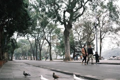Hanoi devrait connaître une nouvelle vague de froid à la fin octobre. Photo d'illustration: NDEL