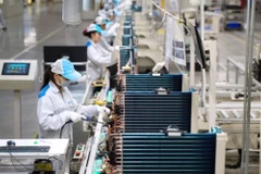 L’indice PMI vietnamien se maintient au-dessus de 50 en janvier alors que la confiance des entreprises atteignant son plus haut niveau en 22 mois. Photo : VNA