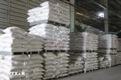 Le riz est l’un des principaux postes d’exportation du Vietnam vers Singapour. Photo : VNA