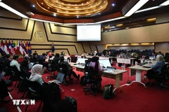 Vue de la 13e réunion du Comité mixte de coopération ASEAN-Nouvelle-Zélande. Photo: VNA