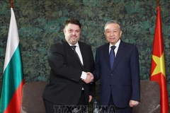 Le secrétaire général du Parti communiste du Vietnam (PCV), Tô Lâm (à droite), et le président du Parti socialiste bulgare (PSB), Atanas Zafirov. Photo : VNA