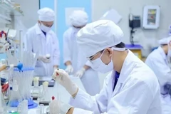 Recherche scientifique à l’Université des sciences et des technologies de Hanoï (USTH), relevant de l’Académie des sciences et des technologies du Vietnam. Photo : USTH