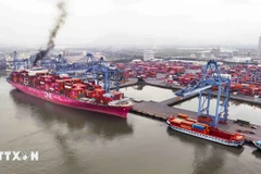 Situé à l’embouchure des rivières Thi Vai et Cai Mep, dans la province de Ba Ria - Vung Tau, le port international de Cai Mep - Thi Vai est l’un des plus grands complexes portuaires en eau profonde d’Asie du Sud-Est. Photo: VNA