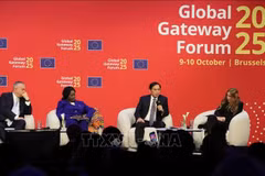 Le vice-Premier ministre vietnamien Bui Thanh Son (au micro) s’exprime lors d’une session de haut niveau dans le cadre du Global Gateway Forum. Photo : VNA