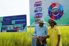 Un agriculteur de An Giang teste une station de capteurs d'irrigation économe en eau dans le cadre du programme d’un million d’hectares de riz de haute qualité à faibles émissions. Photo : VNA