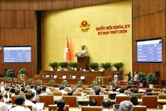 L’Assemblée nationale du Vietnam se penche sur le projet de résolution modifiant et complétant certains articles de la Constitution de 2013. Photo : VNA