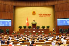 L’Assemblée nationale a voté en faveur de la résolution sur l’amendement et le complément de certaines dispositions de la Constitution de 2013. Photo : VNA