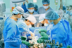 Des médecins de l’Hôpital de l’Université de pharmacie et de médecine de Hô Chi Minh-Ville ont effectué une greffe du foie sur le patient. Photo : VNA