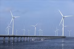 Des éoliennes construites au large de la province de Cà Mau. Photo : VNA