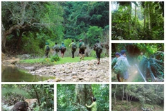 La Réserve naturelle de Pù Huông, l’une des trois forêts spéciales du noyau de la Réserve de biosphère de l’Ouest de Nghê An, reconnue par l’UNESCO en 2007. Photo : VNA