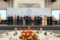 Le vice-Premier ministre et ministre des Affaires étrangères, Bui Thanh Son avec des ambassadeurs, des chefs de missions diplomatiques, des représentants d’organisations internationales au Vietnam. Photo: VNA