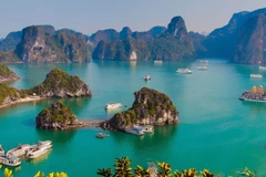La baie de Ha Long est l'une des destinations touristiques les plus populaires du Vietnam. 
