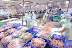 L’année dernière, les exportations de produits aquatiques ont franchi la barre des 10 milliards de dollars, soit une augmentation annuelle de plus de 12%. Photo: VNA