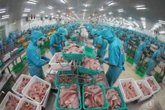 Transformation de produits aquatiques pour l’exportation. Photo : VNA