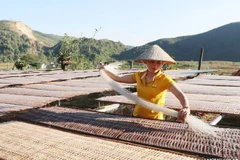 Les vermicelles sont séchés pour obtenir leur élasticité, leur transparence et leur parfum distinctif. Photo: laichau.gov.vn