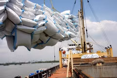 Selon l'Association vietnamienne de l'alimentation (VFA), au 15 octobre, les exportations de riz du Vietnam ont atteint plus de 7 millions de tonnes, pour une valeur de 3,588 milliards de dollars. Photo: VNA