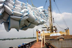 Selon l'Association vietnamienne de l'alimentation (VFA), au 15 octobre, les exportations de riz du Vietnam ont atteint plus de 7 millions de tonnes, pour une valeur de 3,588 milliards de dollars. Photo: VNA