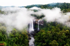 La Réserve naturelle de Kon Chu Rang abrite un système de cascades, de rivières, et de montagnes, au sein d'une forêt tropicale luxuriante, créant une toile de fond impressionnante de la nature. Photo: tcdulichtphcm.vn