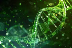e séquençage du génome consiste à lire et à décrypter l’intégralité de l’ADN d’un individu, afin de repérer d’éventuelles variations pouvant expliquer sa maladie. Photo: pngtree.com