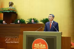 Le nouveau Premier ministre Lê Minh Hung s'exprime devant l'Assemblée nationale, le 7 avril. Photo: VNA