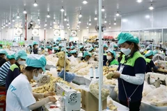 Le salaire minimum des travailleurs sous contrat augmentera également en vertu du décret n°293/2025/ND-CP. Photo d'illustration: VNA