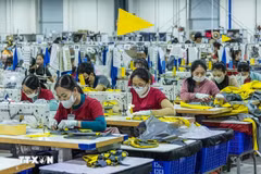 Les projets d’IDE à Quang Ngai ont créé des emplois et des revenus pour de nombreux travailleurs locaux. Photo : VNA