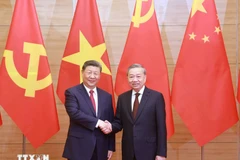 Le secrétaire général du Parti communiste du Vietnam, Tô Lâm (à droite), et le secrétaire général du Parti communiste chinois et président chinois, Xi Jinping, se serrent la main. Photo : VNA