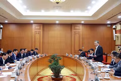 Le secrétaire général du Parti communiste du Vietnam, Tô Lâm, lors de la séance de travail avec le comité du Parti de l’Inspection du gouvernement. Photo: VNA