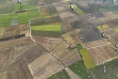 Une volée de cigognes est apparue dans la commune d’Ia Mron, district d’Ia Pa, dans la province de Gia Lai, sur les Hauts Plateaux du Centre. Photo : VNA