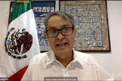 L’ambassadeur du Mexique au Vietnam, Alejandro Negrín, lors du webinaire. Photo: VNA