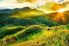 Mu Cang Chai. Photos: Internet