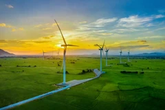 Ce secteur des énergies renouvelables, en pleine expansion, attire de plus en plus l’attention des investisseurs locaux et internationaux. Photo: baotainguyenmoitruong.vn