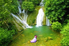 Ban Ba, sanctuaire sauvage du Viêt Bac et temple du “bain de forêt“. Photo: vannghetuyenquang.vn