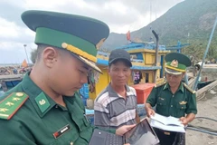 Les agents du poste de garde-frontière de Côn Dao vérifient les documents des bateaux de pêche pour détecter les violations relatives à la pêche INN sur le système logiciel national du port de Bên Dâm, à Côn Dao. Photo : VNA