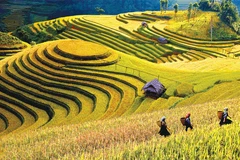 Les rizières en terrasses à Mù Cang Chai (province de Yên Bai) . Photo: hanoimoi.vn