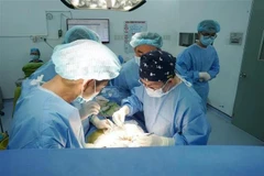 Des médecins de l’hôpital Thông Nhât effectuent une greffe de rein à partir d’un rein provenant du donneur en état de mort cérébrale. Photo : VNA
