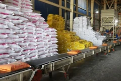 Malgré ce contexte mondial difficile, le riz vietnamien a vu ses prix augmenter d’environ 10 dollars la tonne au début du mois d’août, principalement grâce à une forte demande des importateurs philippins qui anticipent une suspension temporaire des importations de 60 jours, à partir du 1er septembre. Photo: VNA
