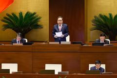 Le président de l'Assemblée nationale, Trân Thanh Mân, prend la parole lors de la séance de questions-réponses dans le cadre de la 9e session de la 15e Assemblée nationale. Photo: VNA