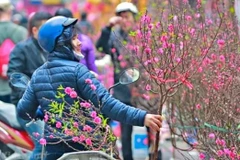 Une série de vagues de froid devrait toucher le Nord et le Centre-Nord d'ici aux vacances du Nouvel An lunaire (du 14 au 22 février). Photo : baochinhphu.vn