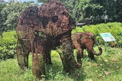 Une sculpture « particulière » représentant une mère éléphante et son petit, fabriquée à partir de milliers de pièges et câbles saisis dans la forêt du parc national de Pu Mat.