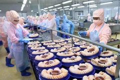 Transformation de crevettes pour l'exportation vers les marchés américain et japonais du groupe Minh Phu. Photo : VNA