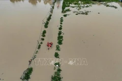 officiers et soldats apportent leur soutien aux populations des zones inondées de Phong Chau, Dat Lanh, dans le quartier de Nam Trang. Photo : VNA
