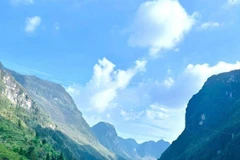 Champs de sarrasin à Tuyen Quang. Photo: NDEL