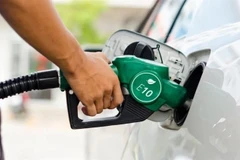 Les biocarburants participent à la réduction des émissions de gaz à effet de serre dans la mesure où le CO2 dégagé lors de leur combustion est compensé par le CO2 absorbé durant la croissance des végétaux.