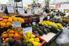 Des gens font leurs courses dans un marché en Ontario, au Canada.
