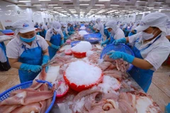 Actuellement, le Vietnam est le troisième plus grand exportateur de produits aquatiques au monde, derrière la Chine et la Norvège. Photo: VNA