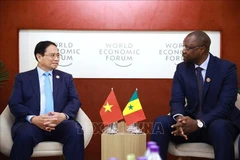 Le Premier ministre Pham Minh Chinh (à gauche) et le Premier ministre sénégalais Ousmane Sonko, à Tianjin, le 25 juin. Photo : VNA