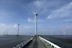 La centrale éolienne de Bac Liêu. Photo : VNA