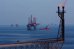 Plateformes de forage du champ pétrolier Bach Hô. Photo: VNA