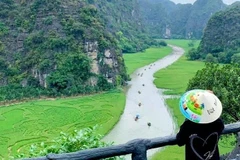 Ce tableau se trouve dans les rizières de Tam Coc, dans la zone de Hang Hai. Photo: NDEL